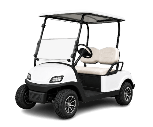 2 Passenger Golf Carts